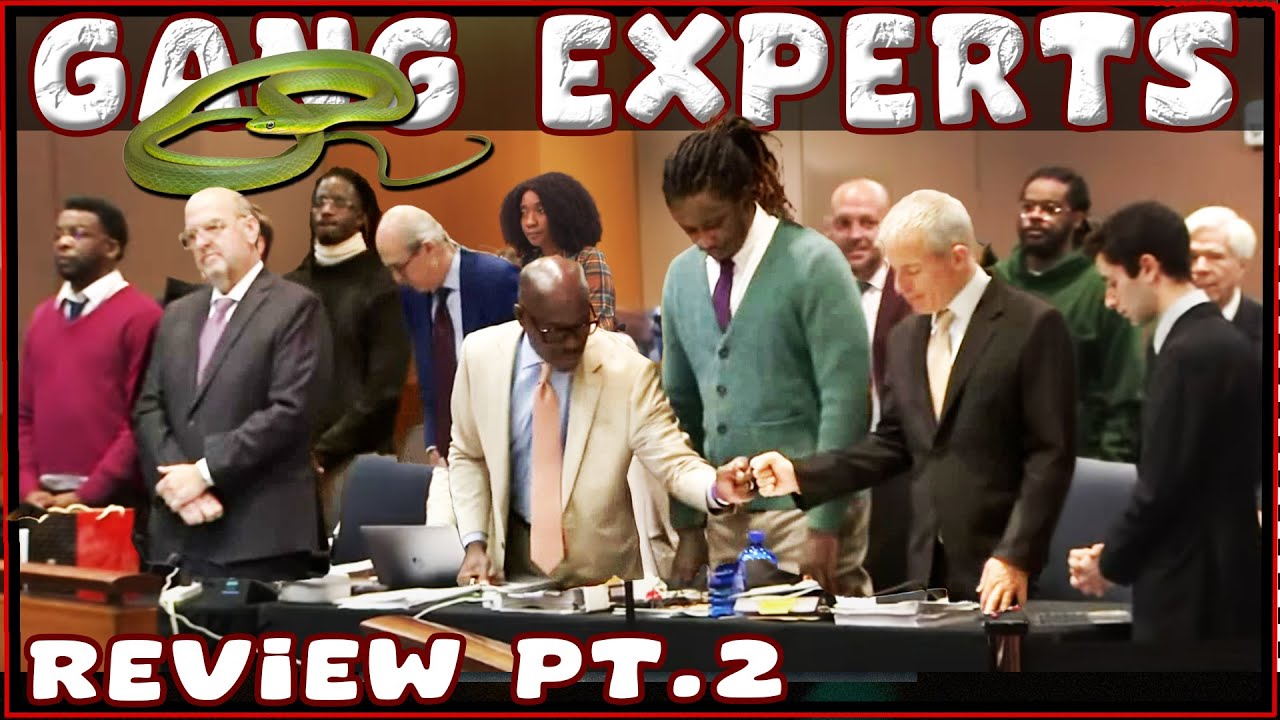 Unmasking the Truth pt. 2: A Deep Dive into GangGang Experts - YouTube