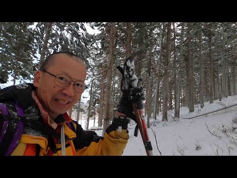 Winter Deer Hunt in Japan 2022