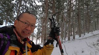 Winter Deer Hunt in Japan 2022