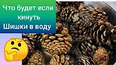 СТРОЙНЕТЬ ВКУСНО РЕЦЕПТЫ массаж  тасипушка