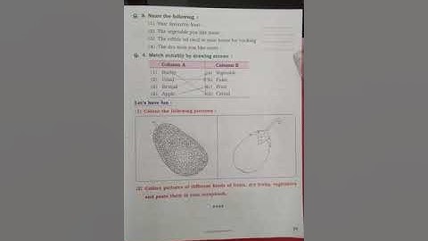EVS - Ls 3. Food From Plants...WORKSHEET (class 1st)