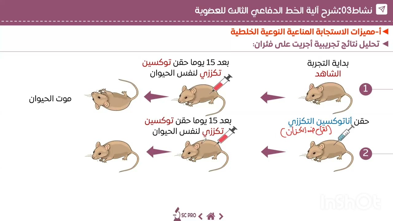 الاستجابة المناعية النوعية الخلطية (الجزء الأول)