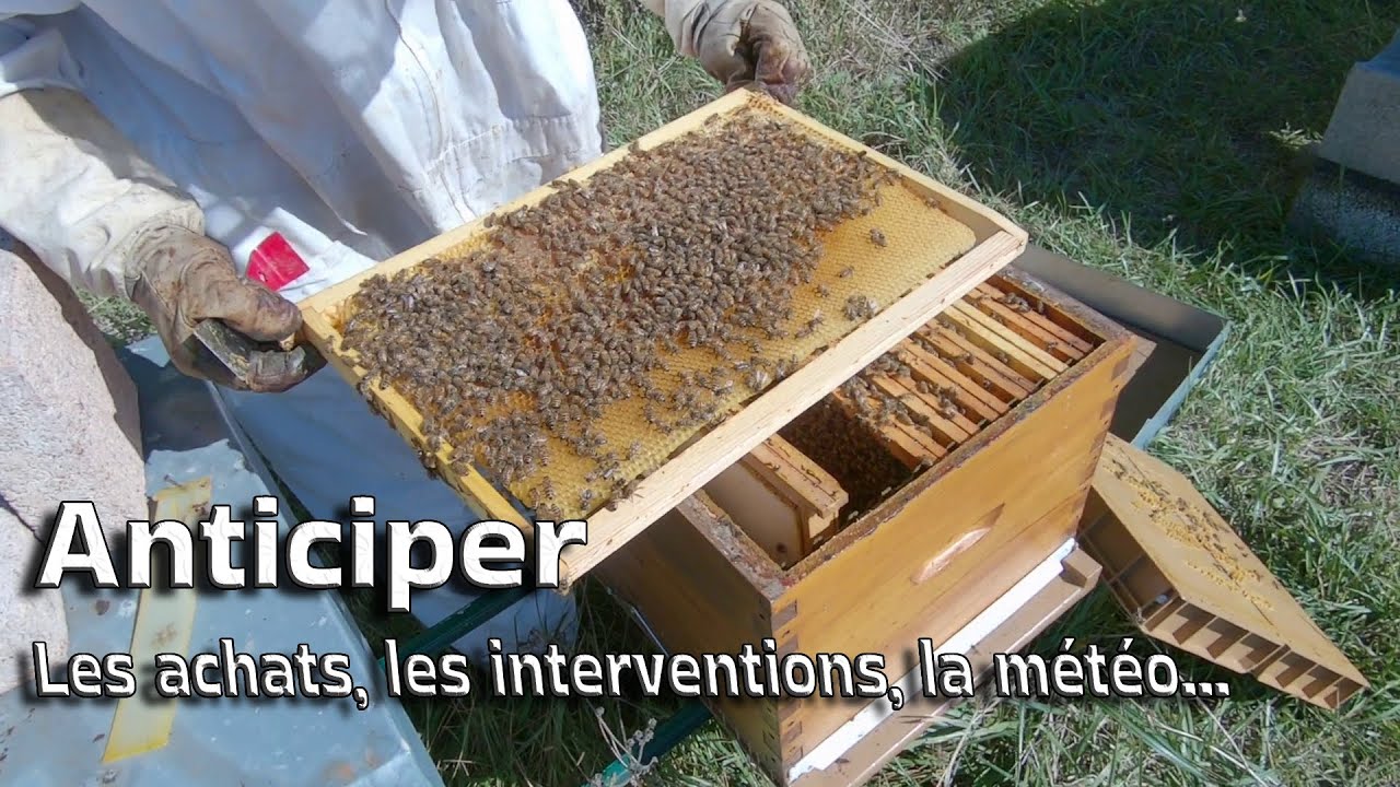 S01E14 Automne,  Hivernage, Frelon😡 quoi faire ? | LRSG 