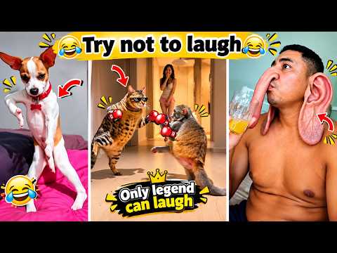 Try Not To Laugh 2026 😅 | Best Funny Moments 🤣 Meme Compilation Part 2