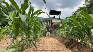 Reid’s Yellow Dent Corn: Side Dressing & Disc Hilling w/ Cole Fertilize Distributor