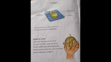 Std.3rd Computer,lesson 4,Mouse.