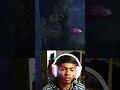 Iaa kya hua !!😰 #gaming #bramblethemountainking #souvikgaming