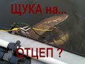 Как поймать крупную щуку на отцеп? Трофей можайского водохранилища