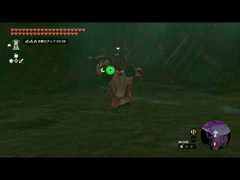 [Tearkin] Lynel Underground Hyrule Castle - The Legend of Zelda: Tears of the Kingdom Nintendo Sw...