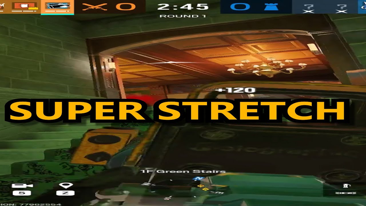 Rainbow Six Siege -The best aspect ratio