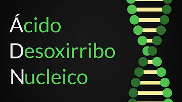 ¿Cómo es el ADN humano?