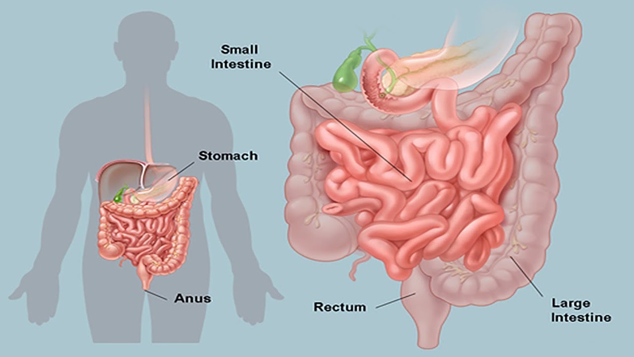 Byinshi mutazi ku ndwara y' amara: Sobanukirwa