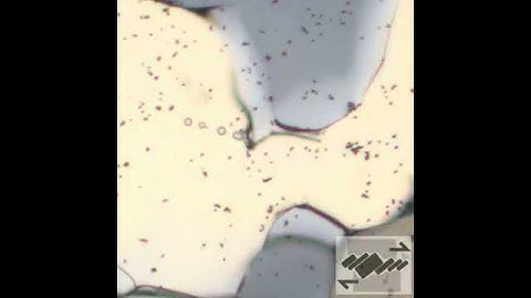 Formation of isolated fluid inclusions behind a migrating grain boundary