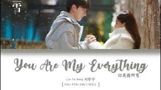 [CHI/PYN/ENG] Liu Yu Ning 刘宇宁《You Are My Everything 你是我所有》【 良辰美景只为你 Love Scenery 】