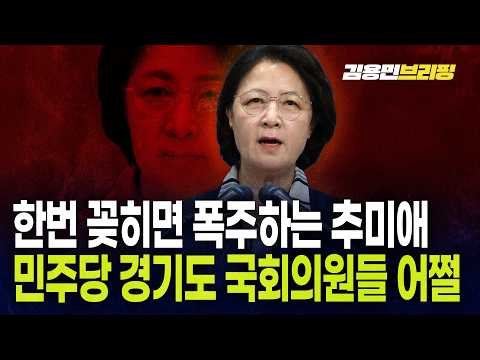 한번 꽂히면 폭주하는 추미애 민주당 경기도 국회의원들 어쩔