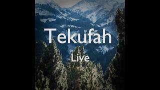 Download Lagu Tekufah (Live) MP3