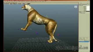 Full Maya Rigging & Skinning Guide