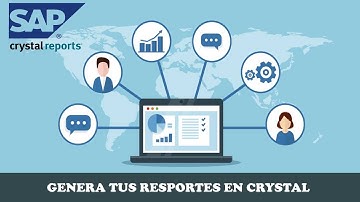 DsigExpress Crystal Reportes en Excel