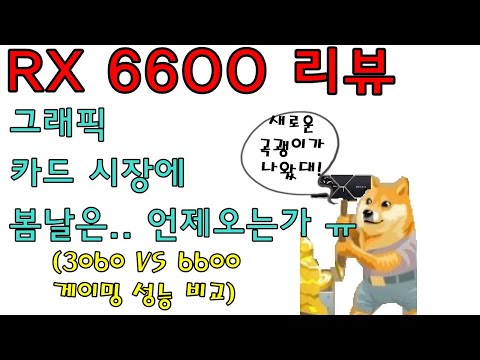 AMD 새 그래픽카드 RX 6600 6600XT VS 3060 VS 6600 리뷰 신성조 