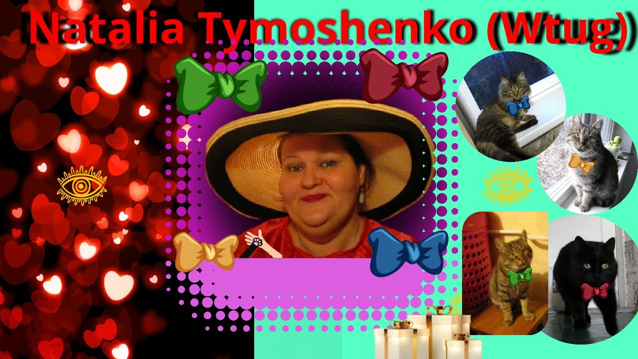 Я милое пушистое создание я КОТ Тайный Агент за мной наблюдать одно ...