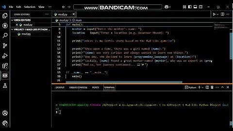 MAD LIBS PEOJECT 😎👀😃