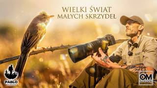 THE BIG WORLD OF SMALL WINGS - Bird Photography // OM System // Wild Ireland
