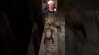 Gravity gun and sawblades || Half-Life 2