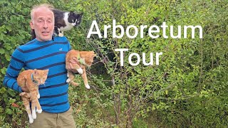 Arboretum Tour #gardening #trees #arboretum #cats #adventure #gardenproject #treegarden #ideas #wow