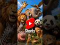 🌈 Cute Rainbow Animals: See Them All! #Shorts