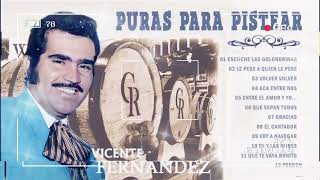 VICENTE FERNÁNDEZ VIEJITAS PARA ADOLORIDOS - VICENTE FERNANDEZ EXITOS ROMANTICOS