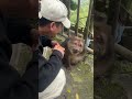 Lianmalo is very worldly-wise, doesn't he look like your friend?#monkey #animals #cute #猴子