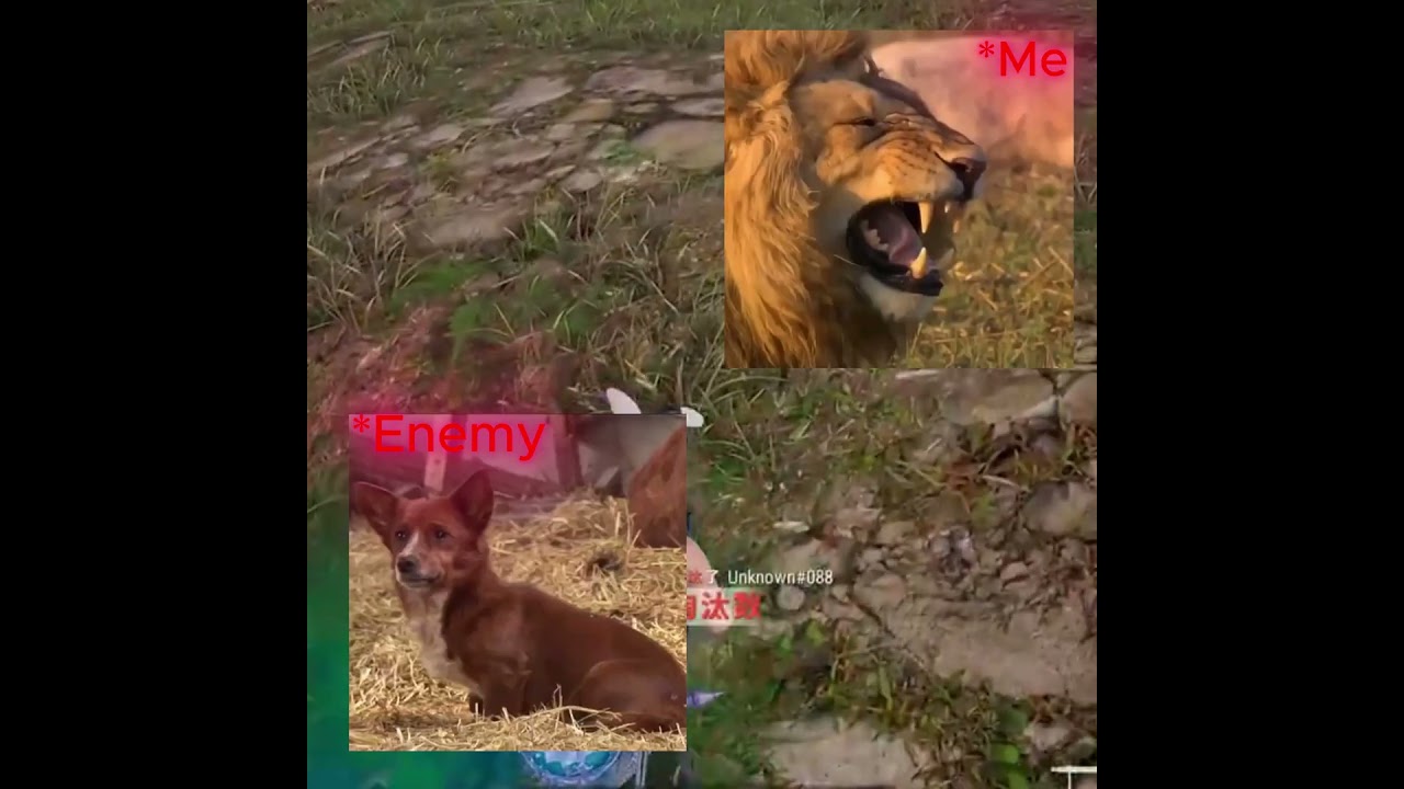 #pubg