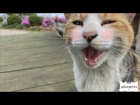 (ENGSUB)소담아  미안해   그만 울어