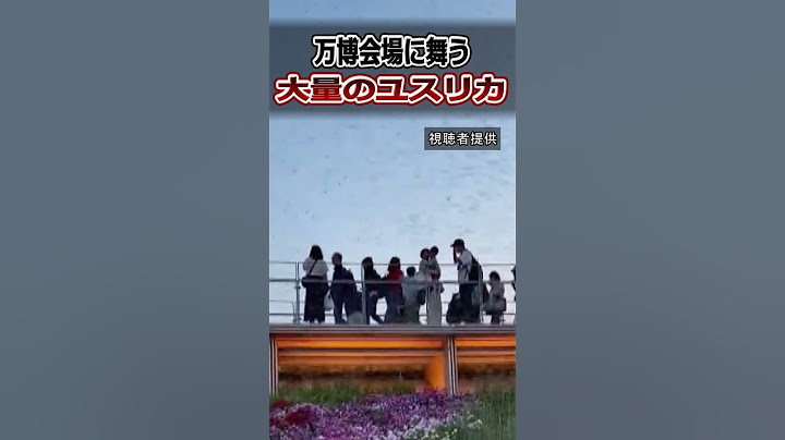 「やばいやばい！」「うえー！」万博会場を舞う大量のユスリカ#shorts