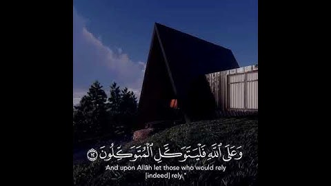 حالات واتس أب دينية( سورة إبراهيم ) 🌱