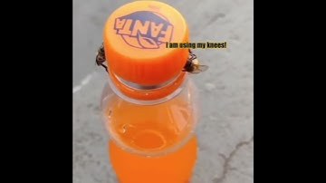 Bees Knees