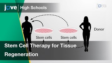 Stem Cell Therapy for Tissue Regeneration | Cell Bio | Video Textbooks - Preview