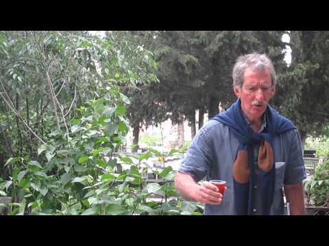 ოთარ პატარიძე გურამ შარაძეზე - 20 მაისი, 2015 წელი