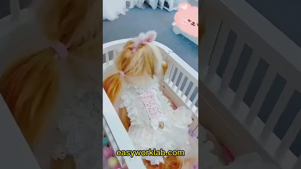 Lolita dress, party dress, celebrity dress for cats and dogs～Easy Work Lab