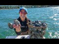 Giant clams catch and cook coastal foraging niantic river connecticut