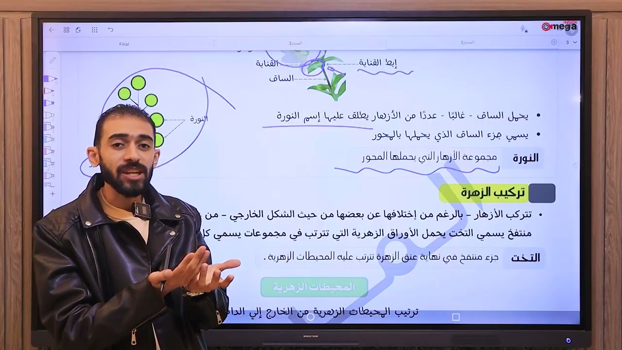 التكاثر في النبات الصف الثاني الاعدادي