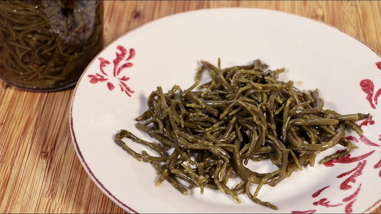 Mes pickles de salicorne aux aromates