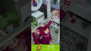 Dalchini | New Show | 16 December 2023 | Shorts | दालचीनी | Dangal TV