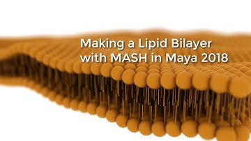 Lipid Bilayer Mash Maya 2018