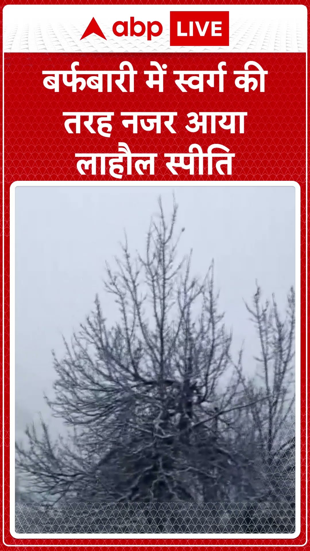 Weather Update: Lahaul Spiti में बर्फबारी के बाद स्वर्ग जैसा नजारा | #abpshorts