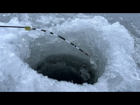 ОПУСТИЛ МОРМЫШКУ В