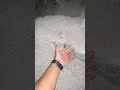 Jobs with Jesus: Inspecting Attic Insulation