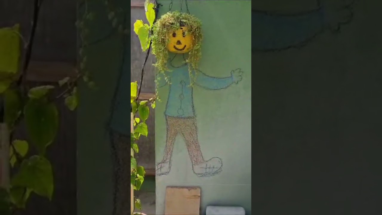 ❤️LOVE THE NATURE 🌳 LIKE the nature 🥰FELL THE NATURE 