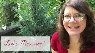 Lesson: Taking Measurements