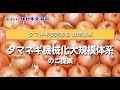 【営農情報】タマネギ機械化大規模体系